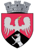 Wappen von Târgu Frumos