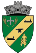 Wappen von Dudeștii Noi