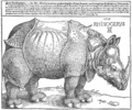 Dürer rhino full.png