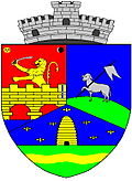 Wappen von Dudeștii Vechi