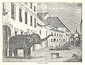 Elefant.von.murten.1866.jpg