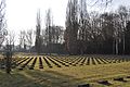Frankfurt, Friedhof Westhausen, italienischer Soldatenfriedhof, Gegenlicht.JPG
