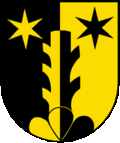 Wappen von Riedern