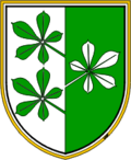 Wappen von Kidričevo