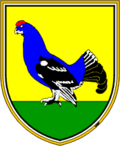 Wappen von Kranjska Gora