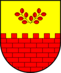 Wappen von Miren-Kostanjevica
