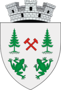 Wappen von Broșteni