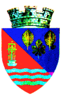 Wappen von Făget