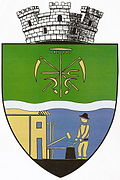 Wappen von Vașcău
