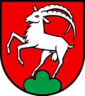 Wappen von Remigen