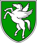 Wappen von Rogaška Slatina