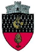 Wappen von Dolhasca