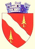 Wappen von Slănic-Moldova