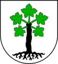 Wappen von Trun