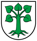 Wappen von Auw
