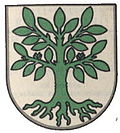 Wappen von Fey