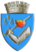 Wappen von Târgu Mureş