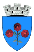 Wappen von Râşnov
