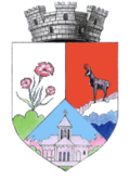 Wappen von Zărneşti