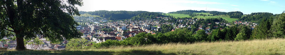 Panorama-Blick über Onstmettingen mit Raichberg (rechte Bildhälfte)