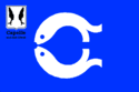 Flagge der Gemeinde Capelle aan den IJssel