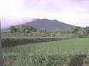 Mount Salak.JPG