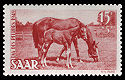Saar 1949 265 Tag des Pferdes.jpg