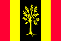 Flagge der Gemeinde Waalwijk