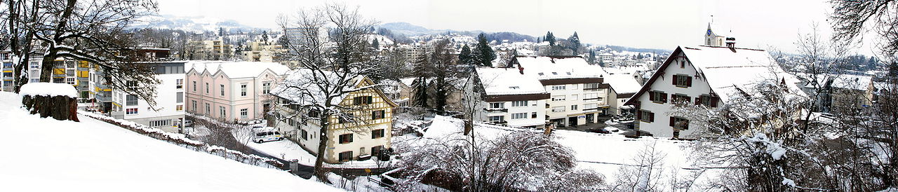 Blick von der Schanz über das Stadtzentrum. Im Bildhintergrund links der Bachtel, rechts der Batzberg, im Vordergrund rechts  der Klosterhof.