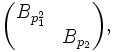 \begin{pmatrix}B_{p_1^2}&amp;amp;\\&amp;amp;B_{p_2}\end{pmatrix},