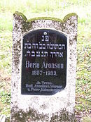 SH104477Berta Aronson, 1857-1933.jpg