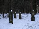 Wingst Jundenfriedhof 12 (RaBoe).jpg
