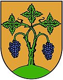 Wappen der Ortsgemeinde Sörgenloch