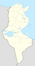 Chott el Djerid (Tunesien)