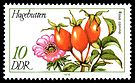 Stamps of Germany (DDR) 1978, MiNr 2287.jpg
