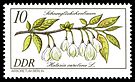Stamps of Germany (DDR) 1981, MiNr 2574.jpg