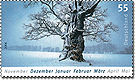 DPAG-20060105-Winter.jpg