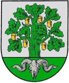 Wappen der Stadt Bergen
