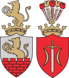 Wappen von Zduńska Wola
