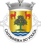 Wappen von Castanheira do Vouga