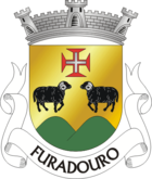 Wappen von Furadouro