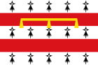 Flag of Nandrin.svg
