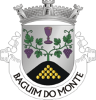 Wappen von Baguim do Monte