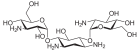 Struktur von Kanamycin C