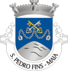 Wappen von São Pedro Fins