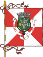 Flagge von Aveiro