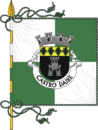Flagge von Castro Daire
