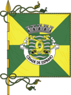 Flagge von Espinho