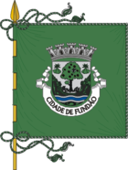 Flagge von Fundão (Portugal)