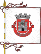 Flagge von Fronteira (Portugal)